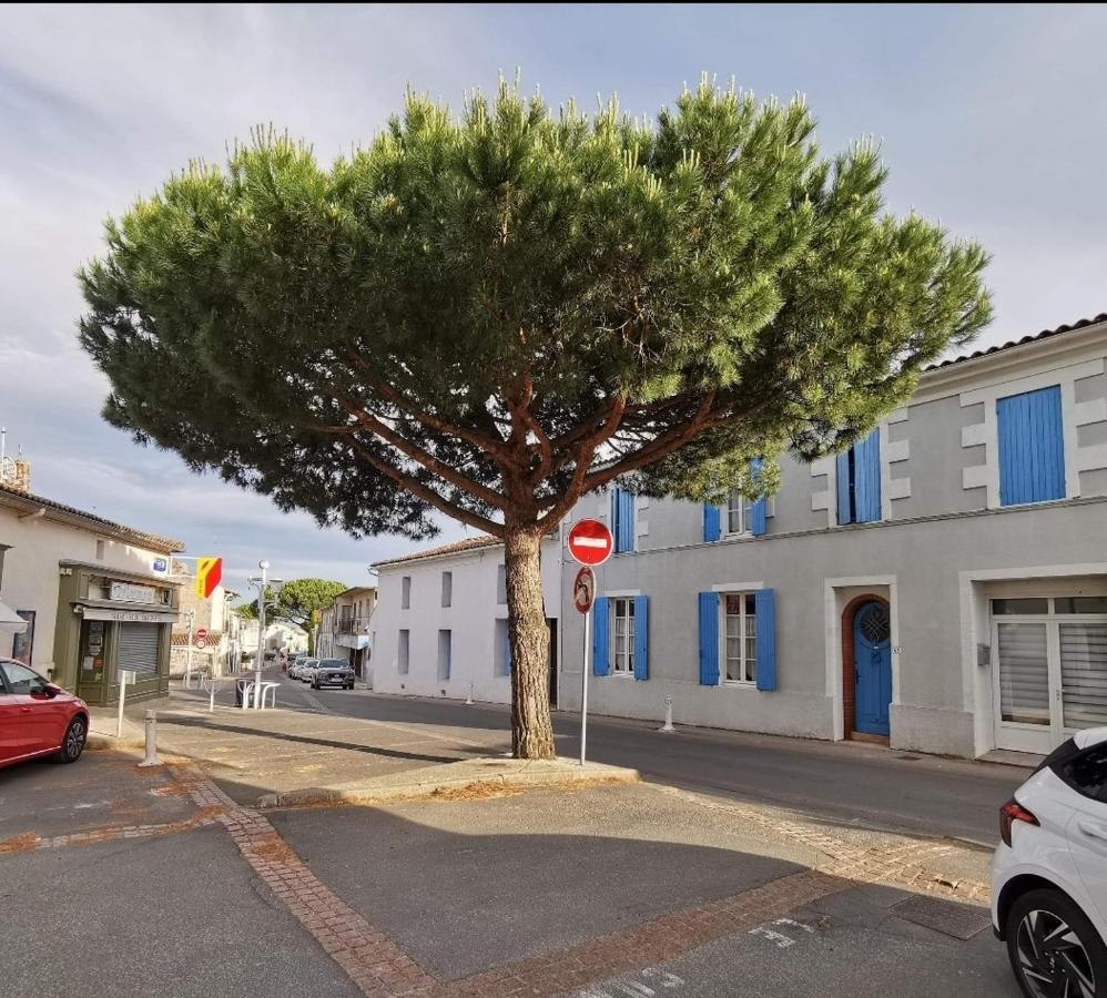 Charmant Appartement Dans Centre Meschers/Gironde Ngoại thất bức ảnh